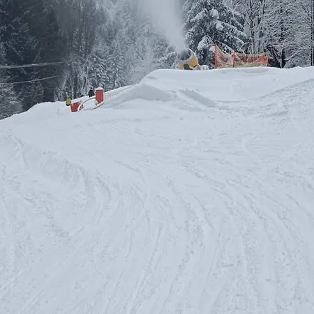 Pod Kanionem דירה